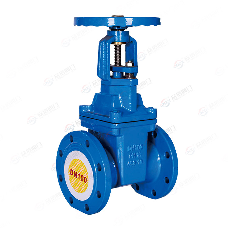 Flange rising stem gate valve