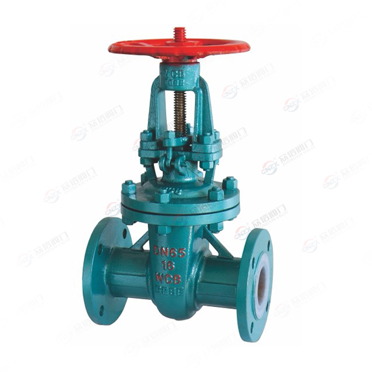 Fluorine lined flange check valve