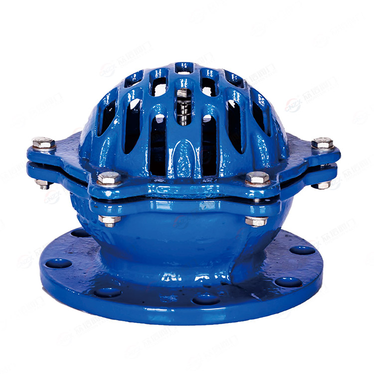 Flange bottom valve