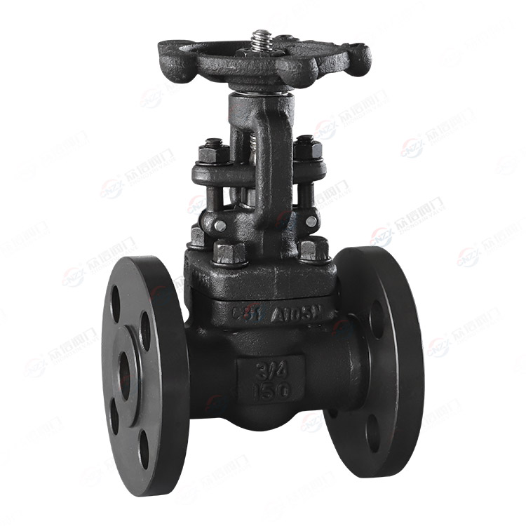 Forged Steel Gate Valve