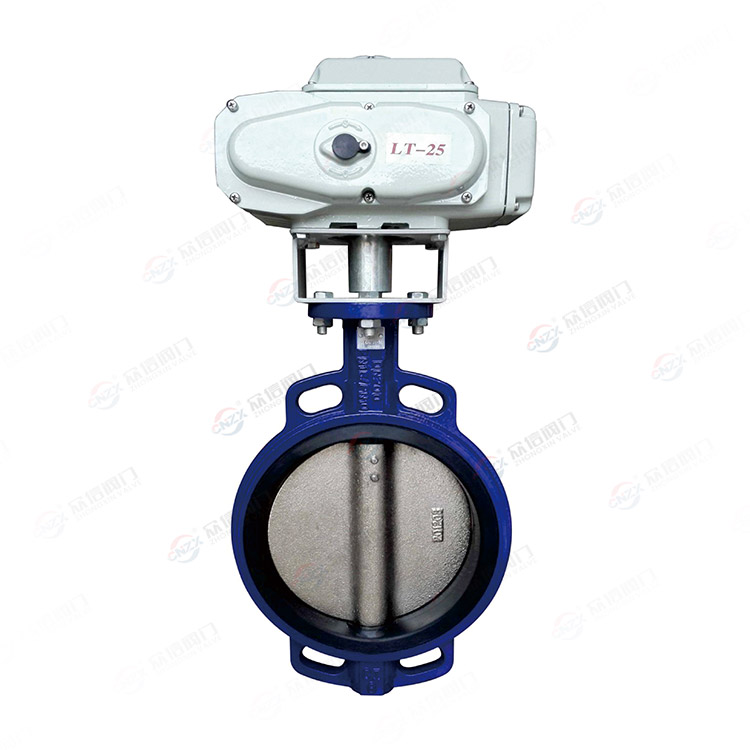Electric disc valve