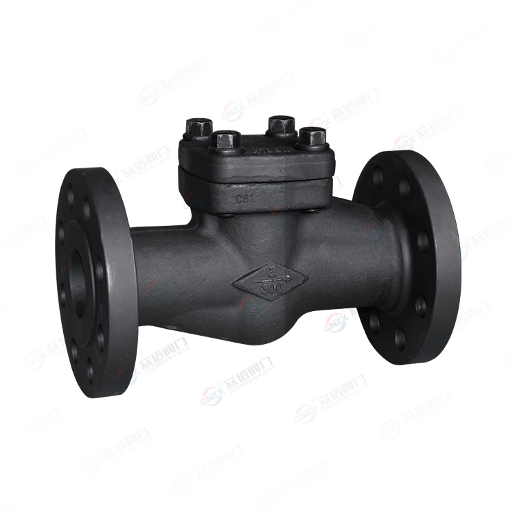 Forged steel check valve