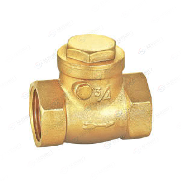 Brass horizontal check valve