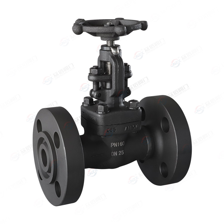Forged steel globe valve