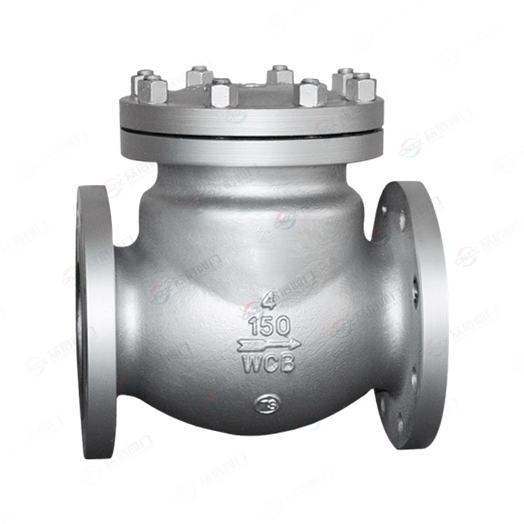 American Standard Check Valve